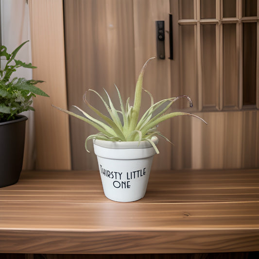 Thirsty Little One Planter