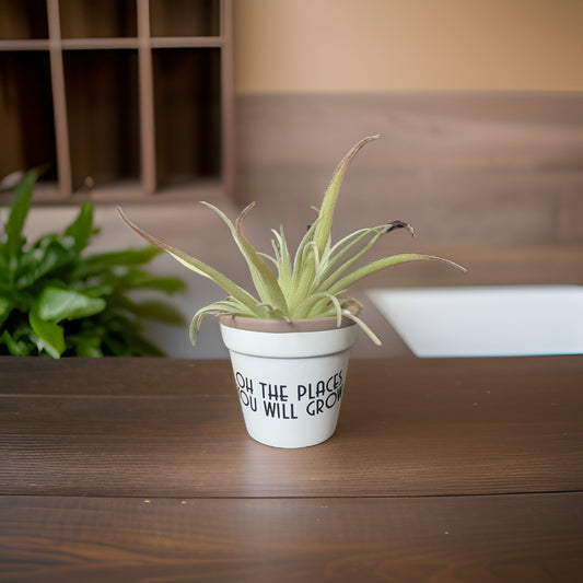 Places You Will Grow Planter